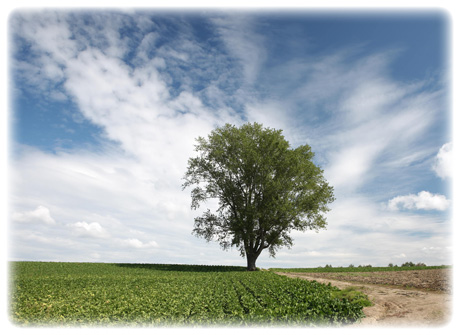 中部日本デンタルショー　東海歯科用品商協同組合