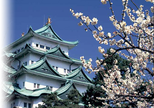 中部日本デンタルショー　東海歯科用品商協同組合