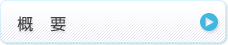概要