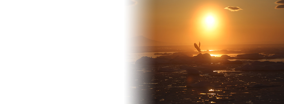 中部日本デンタルショー　東海歯科用品商協同組合